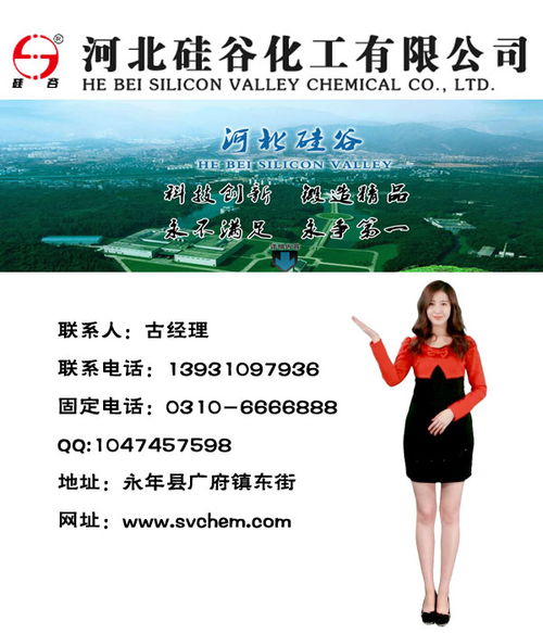 prtv防污闪涂料价格 硅谷化工 在线咨询 海港防污闪涂料