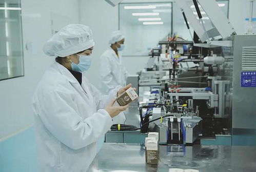 略阳 小特产 强势崛起